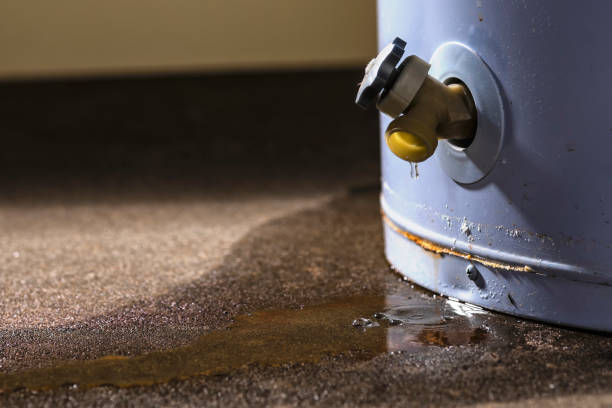 Best Water damage restoration mold remediation  in Bethlehem, NC
