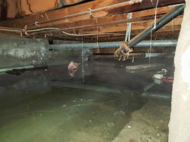 Reliable Bethlehem, NC Water damage restoration Solutions