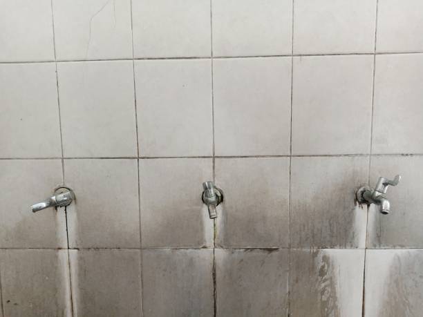 Best 24-hour water damage restoration  in Bethlehem, NC