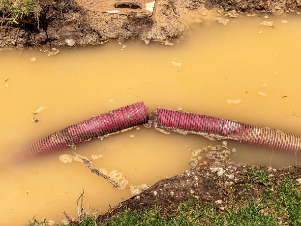 Best Emergency water damage restoration  in Bethlehem, NC